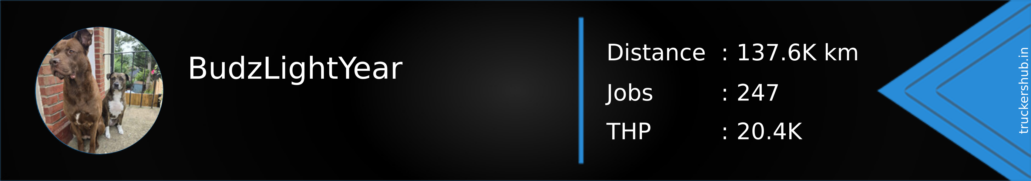 BudzLightYear Banner