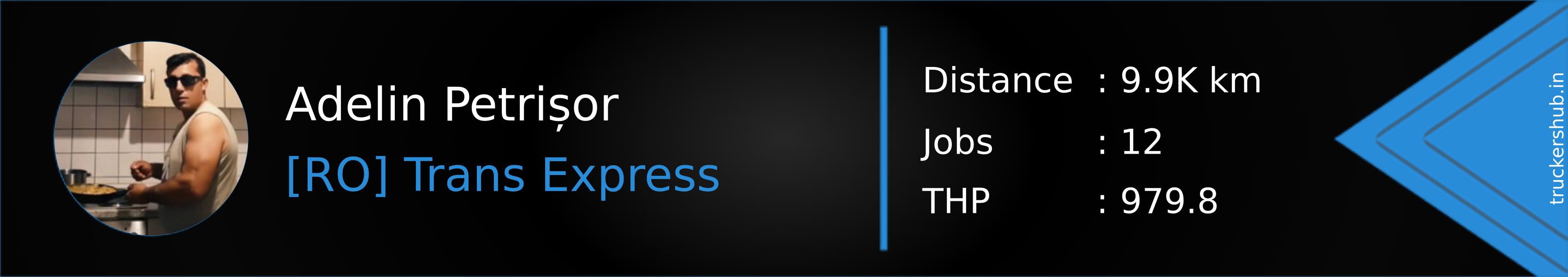 Adelin Petrișor Banner