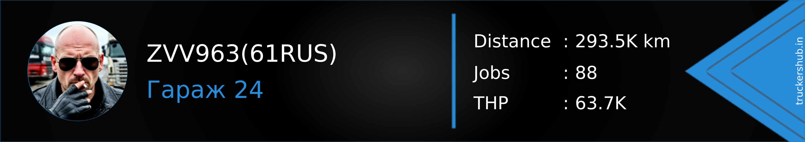 ZVV963(61RUS) Banner