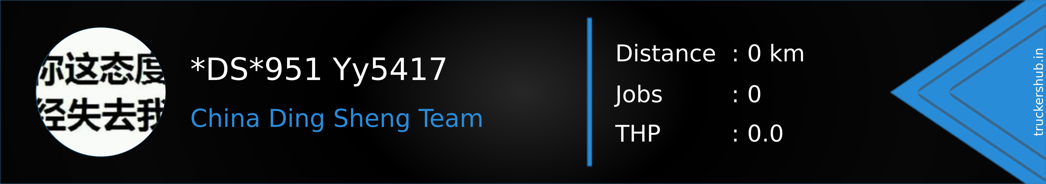 *DS*951 Yy5417 Banner