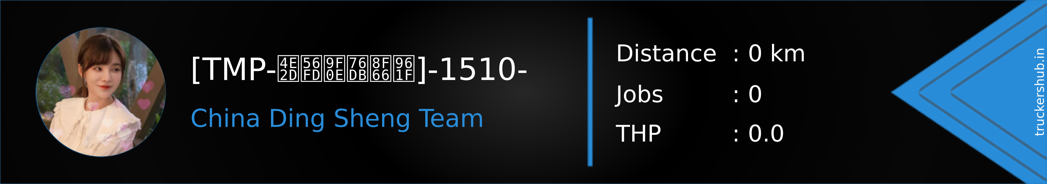 [TMP-中国鼎盛车队]-1510- Banner