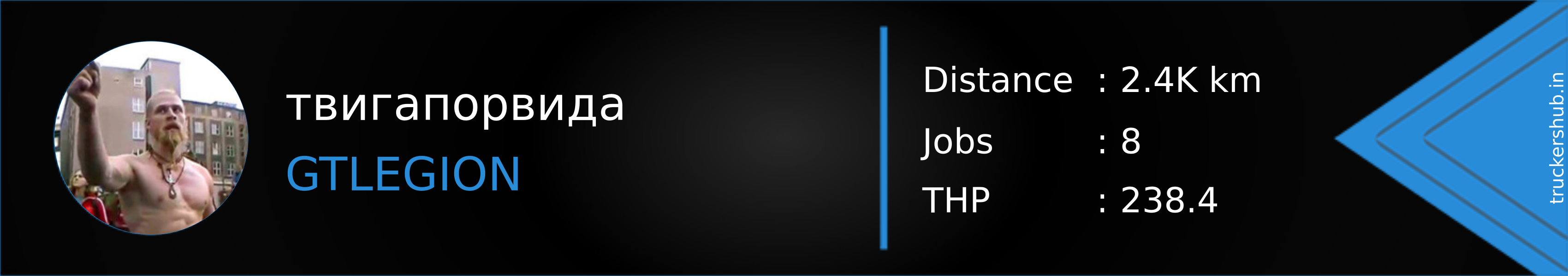 твигапорвида Banner