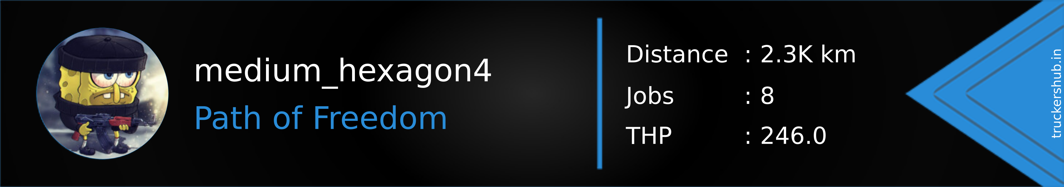 medium_hexagon4 Banner