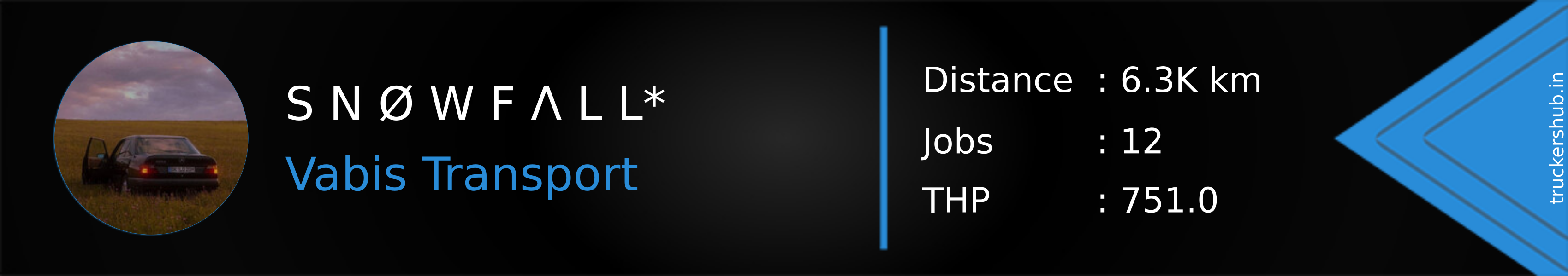 S N Ø W F Λ L L* Banner