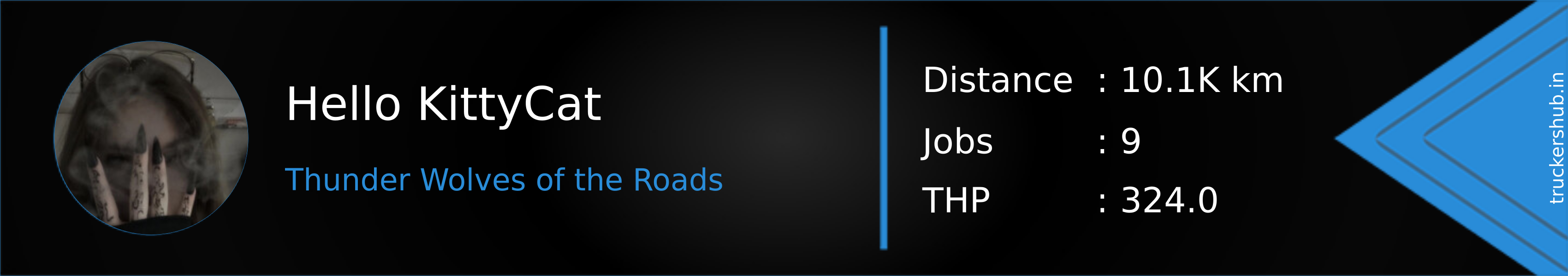 Hello KittyCat Banner