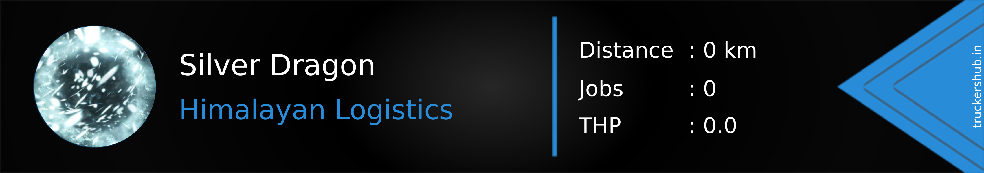 Silver Dragon Banner