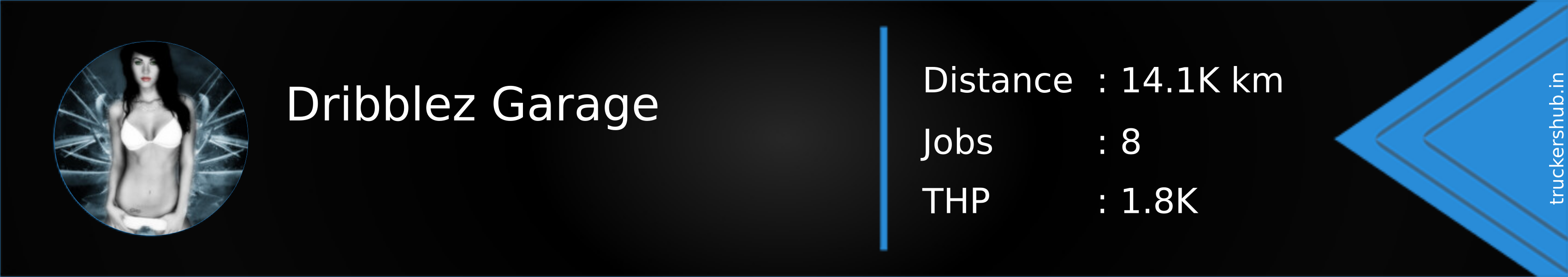 Dribblez Garage Banner