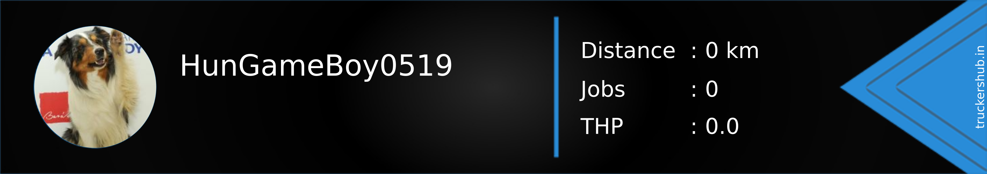 HunGameBoy0519 Banner