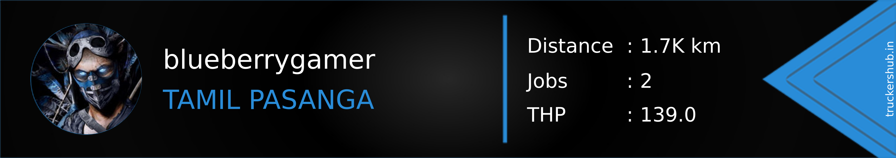 blueberrygamer Banner