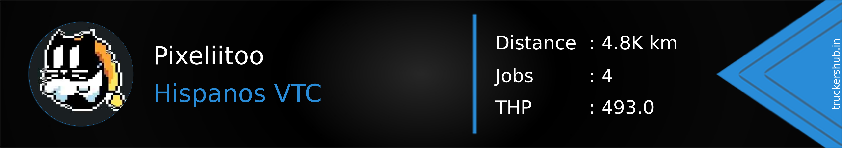 Pixeliitoo Banner