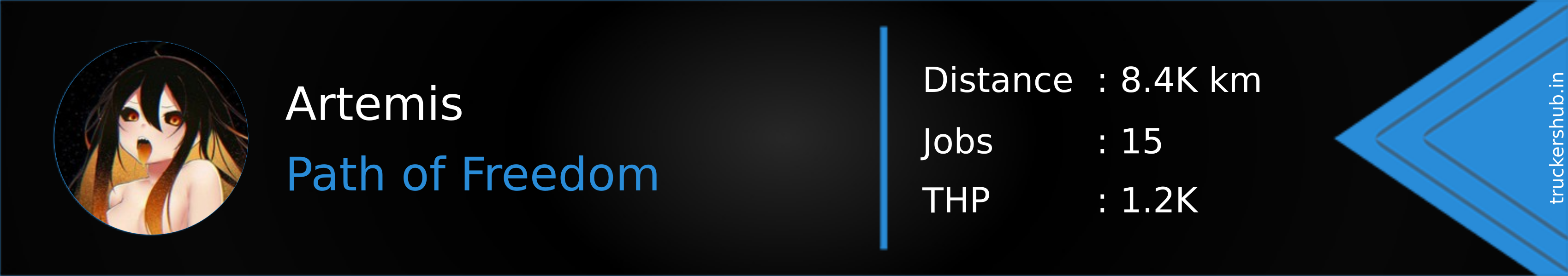 Artemis Banner