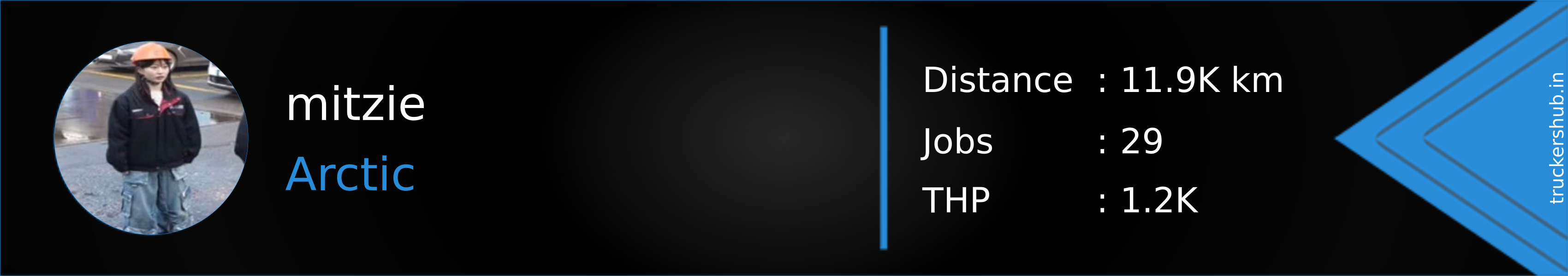 mitzie Banner
