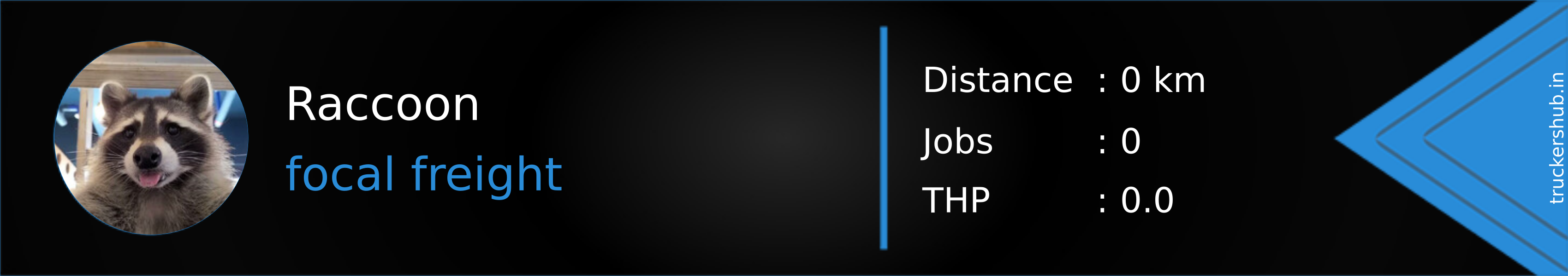 Raccoon Banner