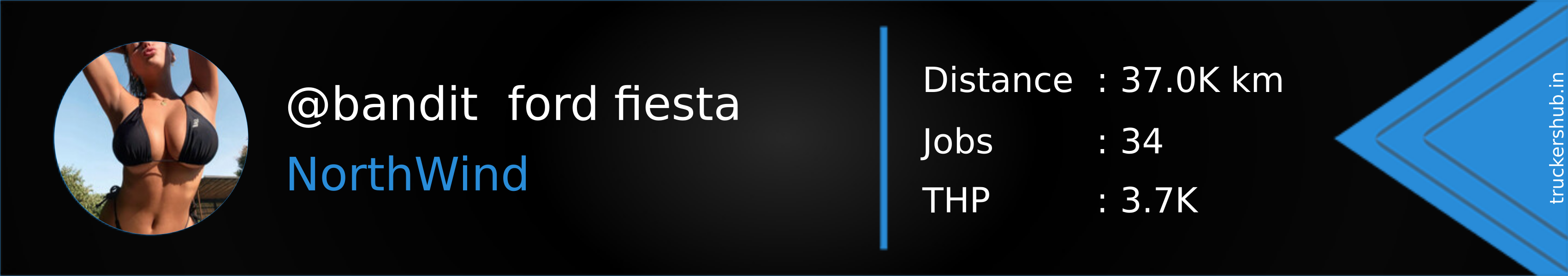 @bandit  ford fiesta Banner