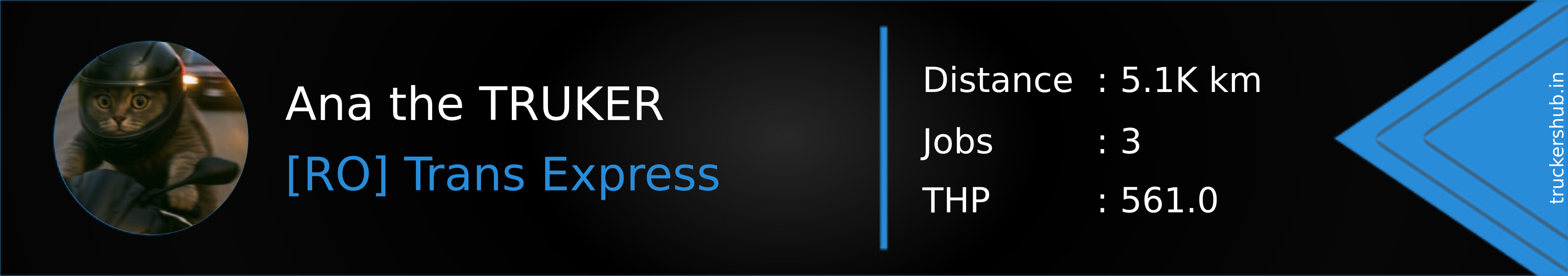 Ana the TRUKER Banner