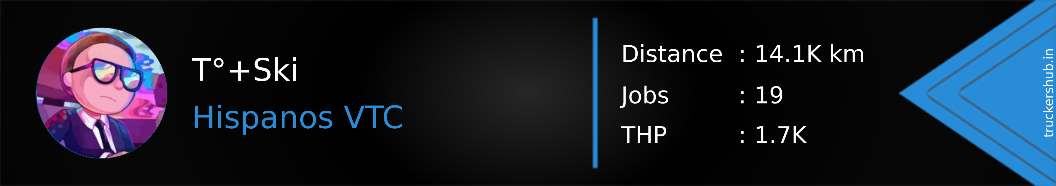T°+Ski Banner