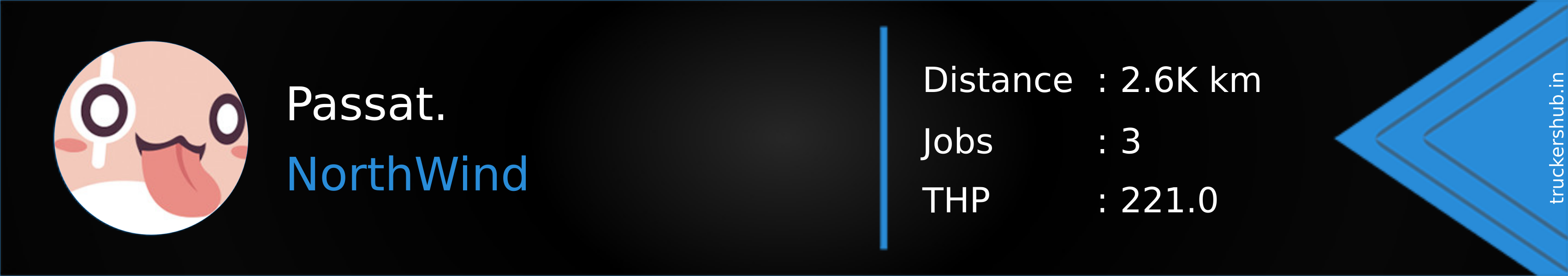 Passat. Banner