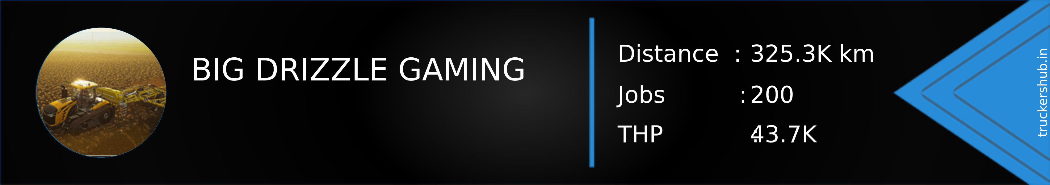 BIG DRIZZLE GAMING Banner