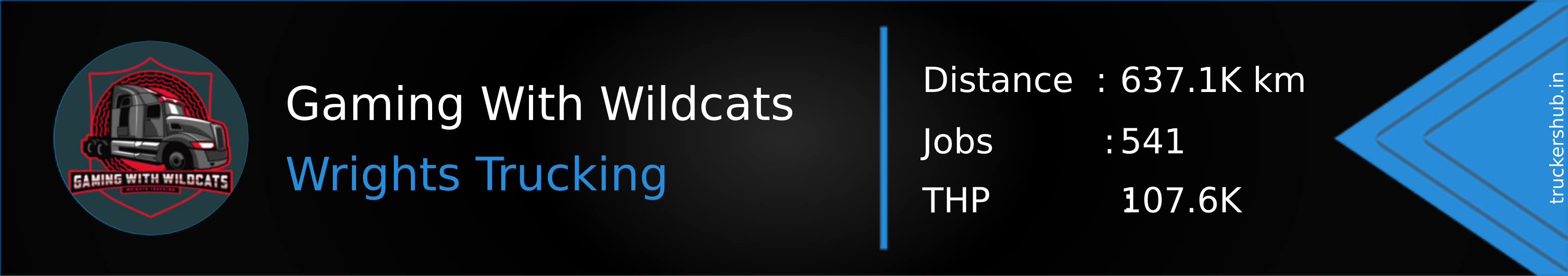 Gaming With Wildcats Banner