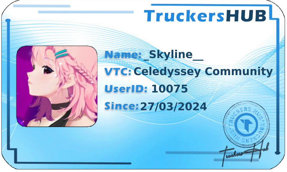 _Skyline__ License