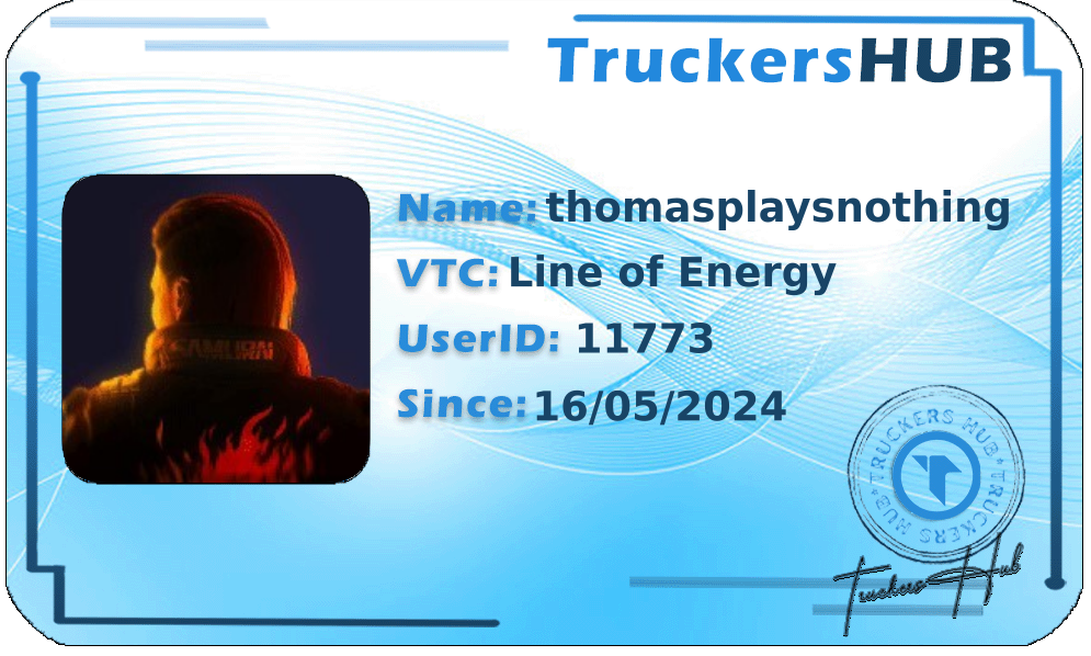 thomasplaysnothing License