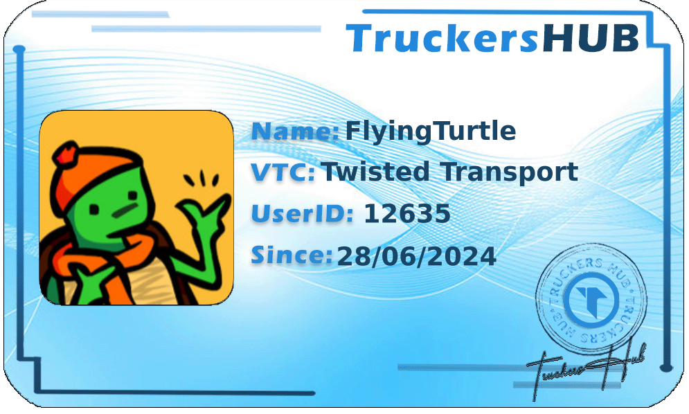 FlyingTurtle License