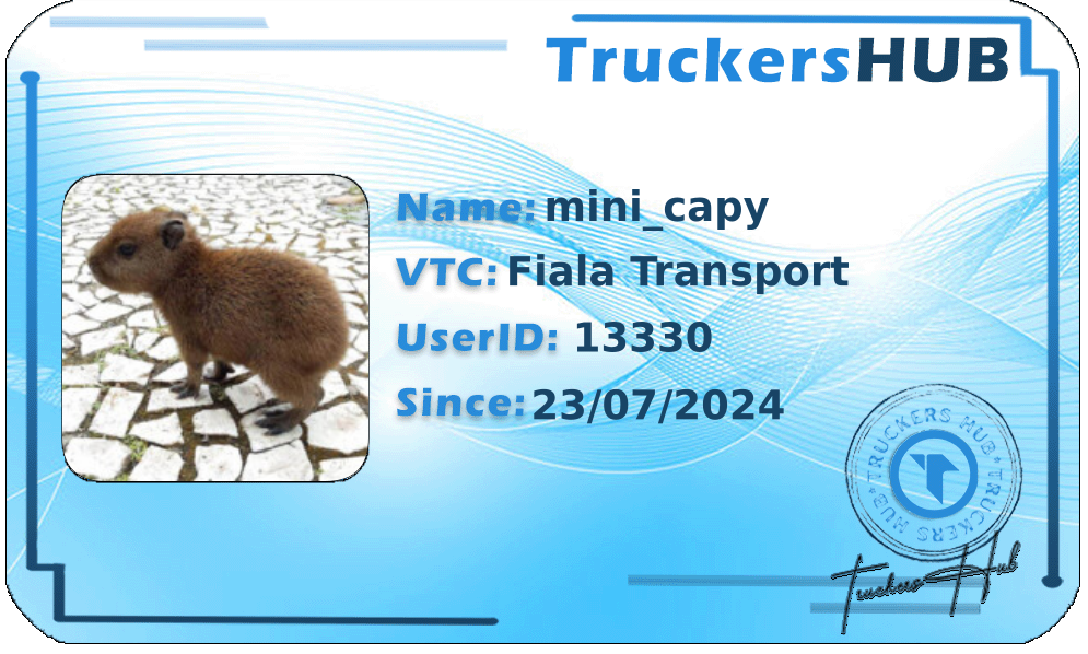 mini_capy License