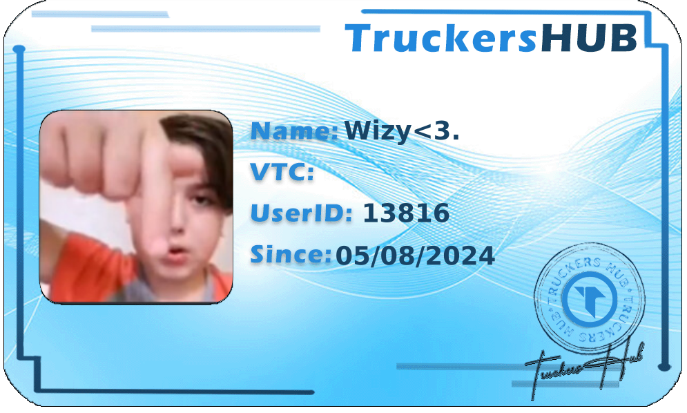 Wizy<3. License