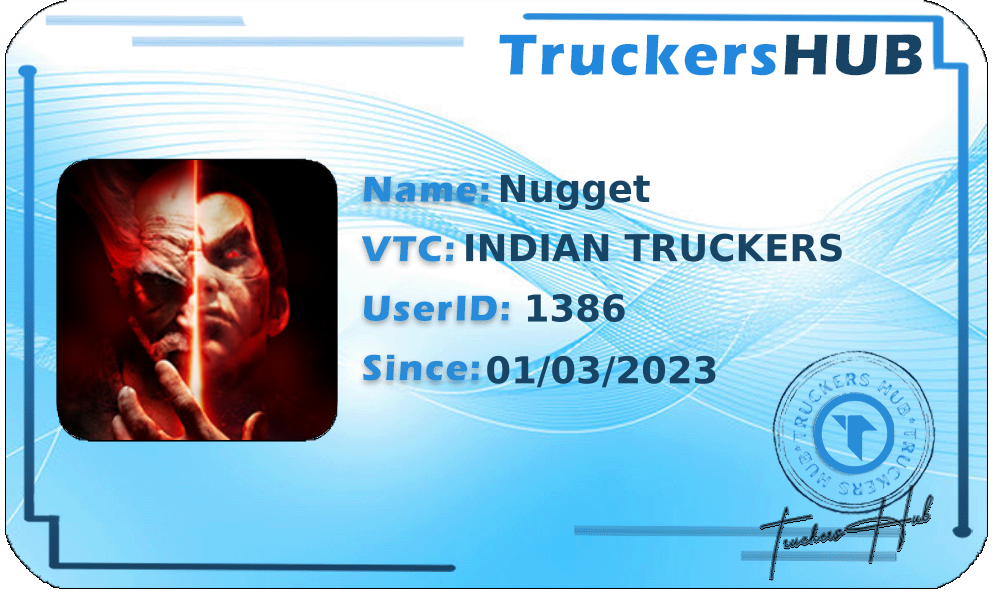 Nugget License