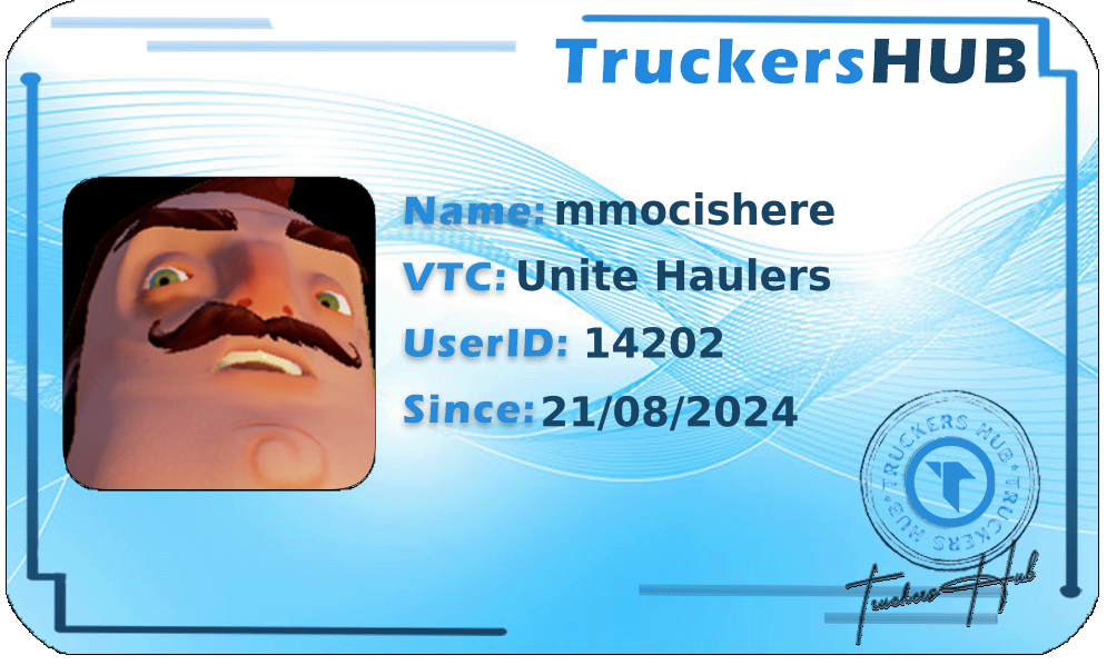 mmocishere License