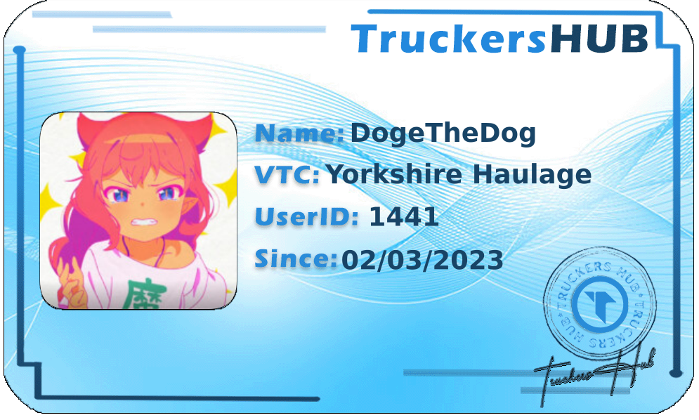 DogeTheDog License