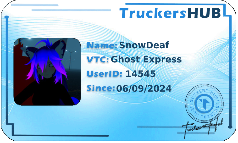 ~SnowyVR~ License