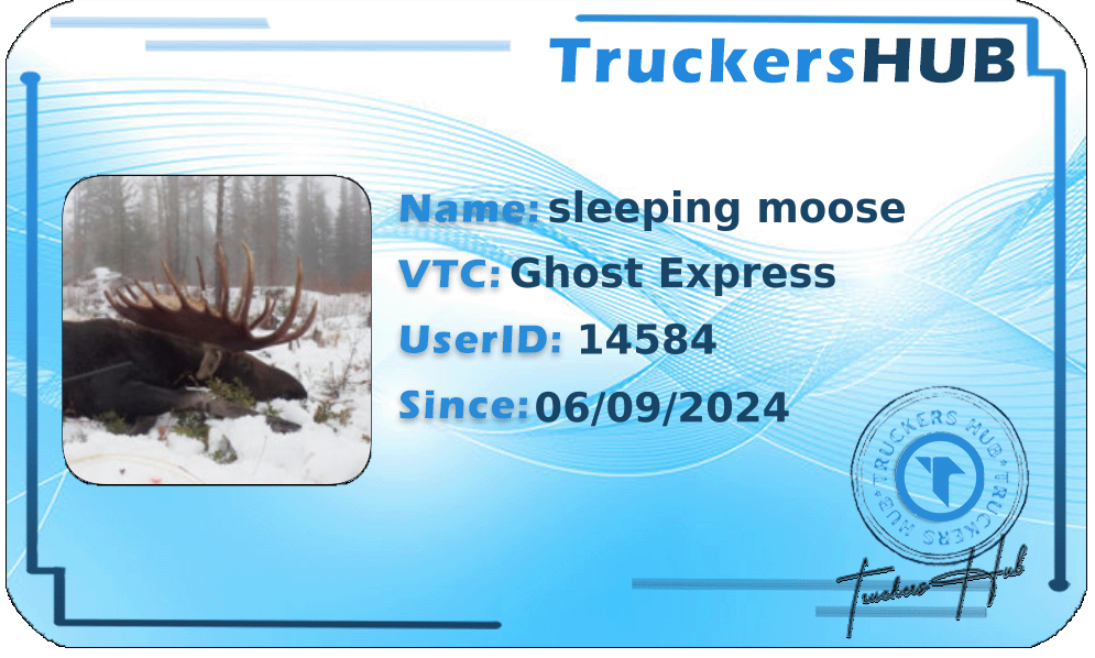 sleeping moose License