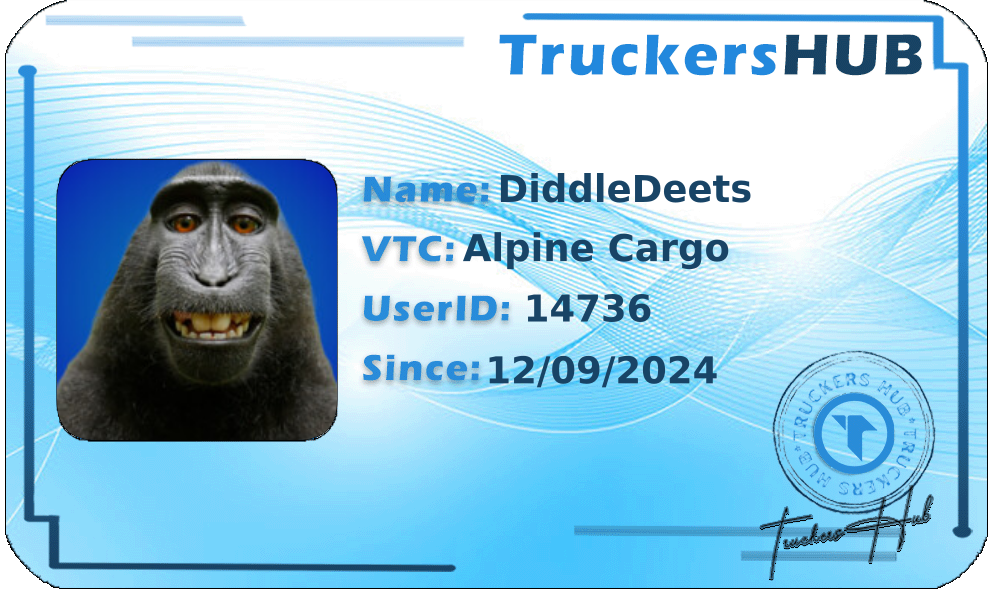 DiddleDeets License