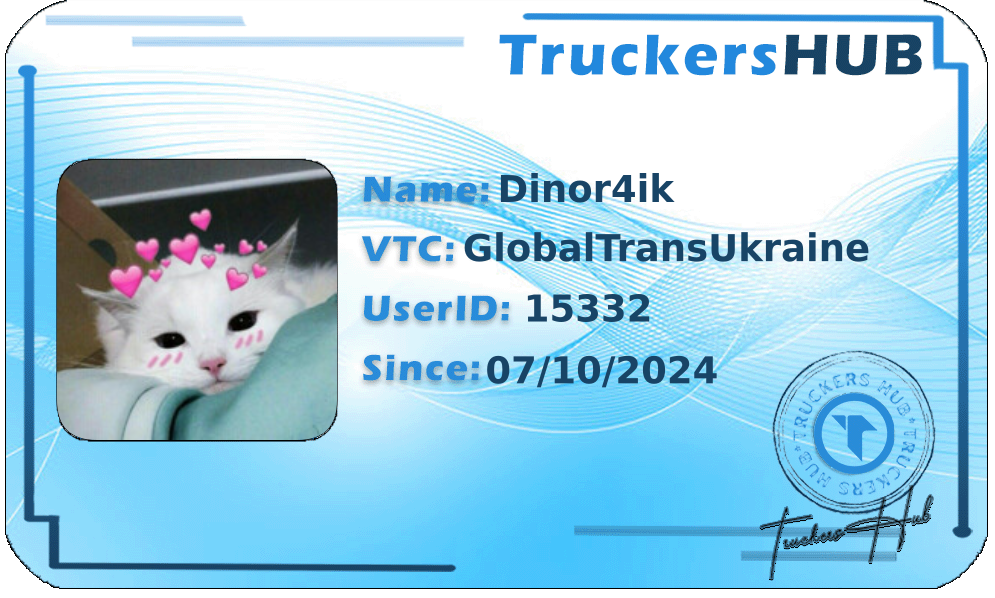 Dinor4ik License