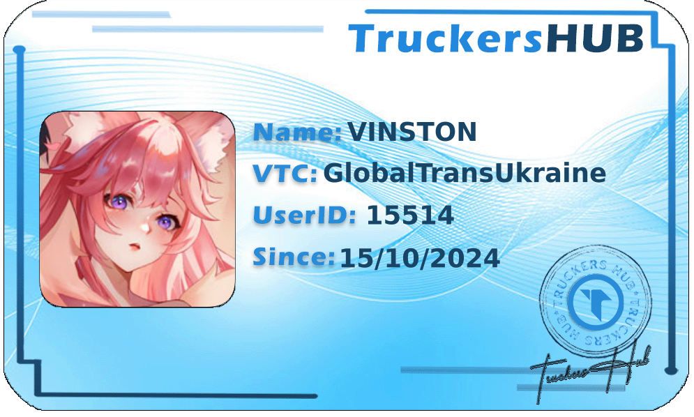 VINSTON License