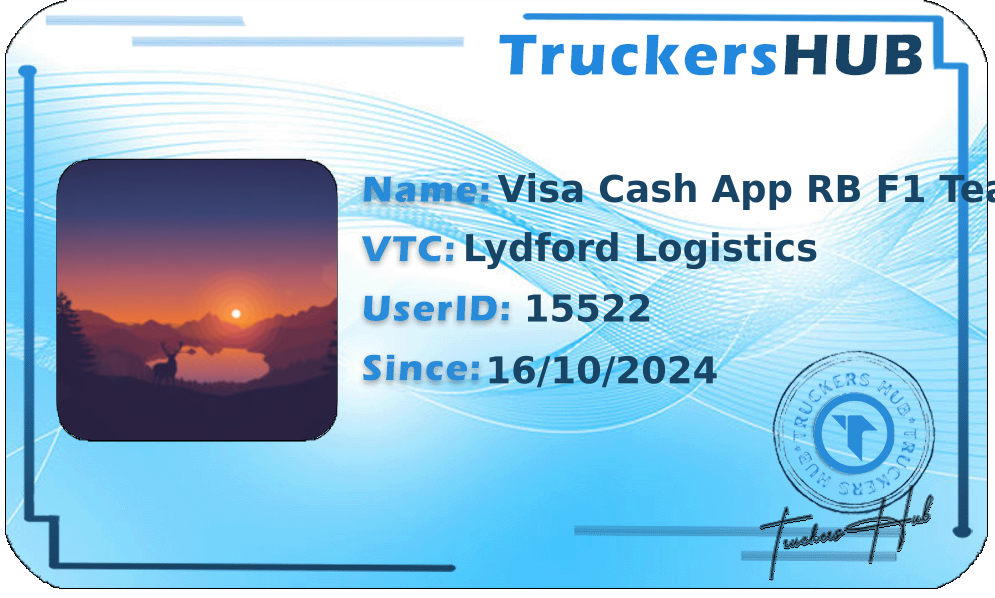 Visa Cash App RB F1 Team License