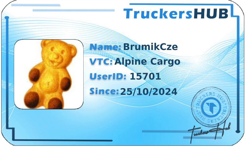 BrumikCze License