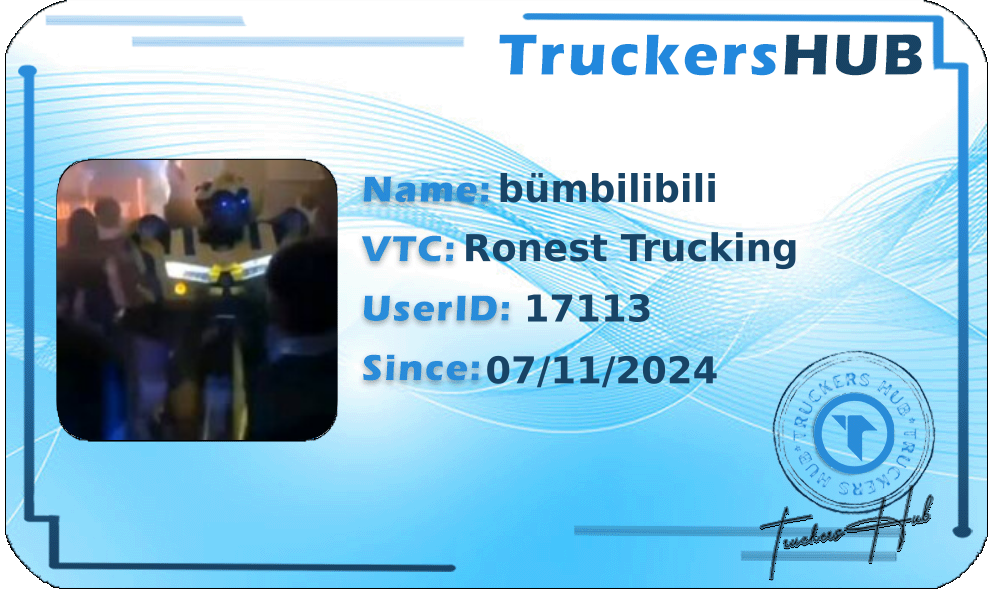 bümbilibili License