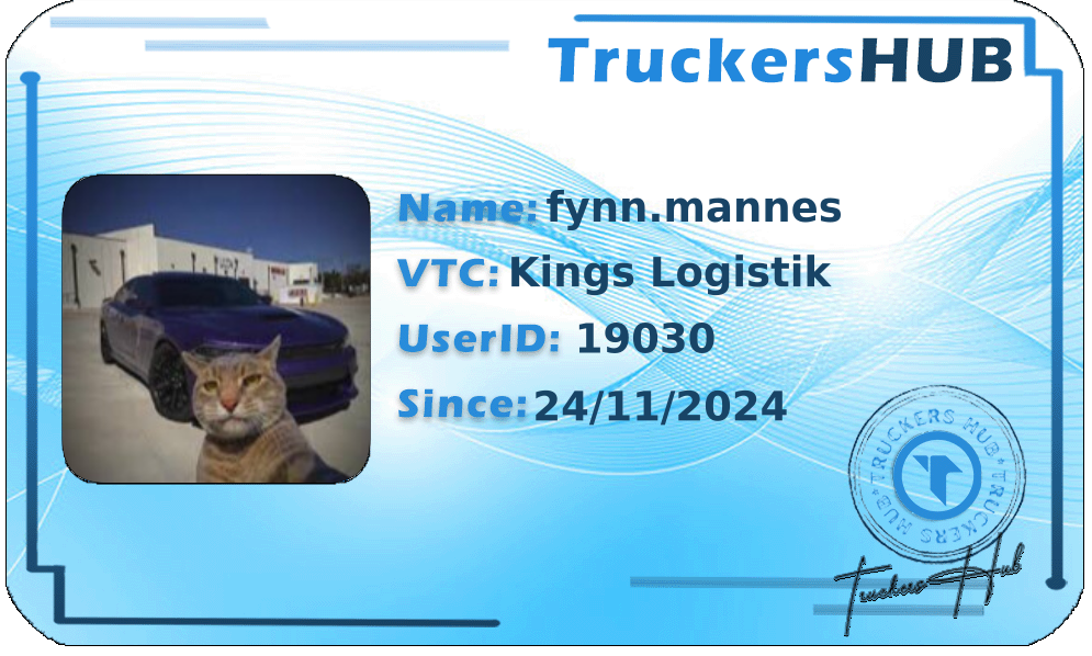 fynn.mannes License