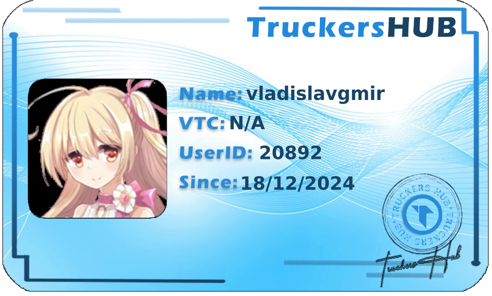 vladislavgmir License