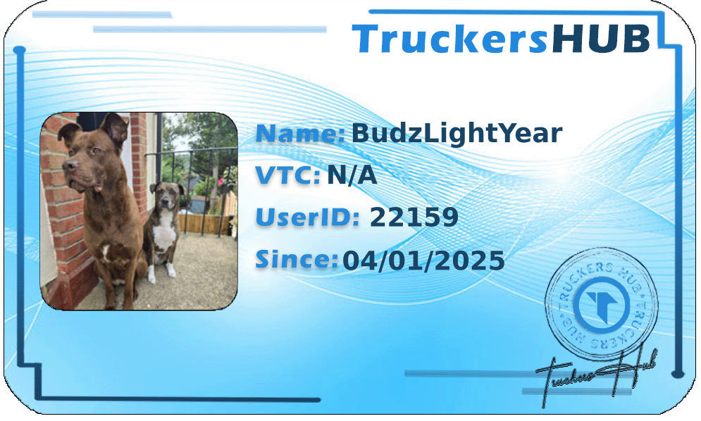 BudzLightYear License
