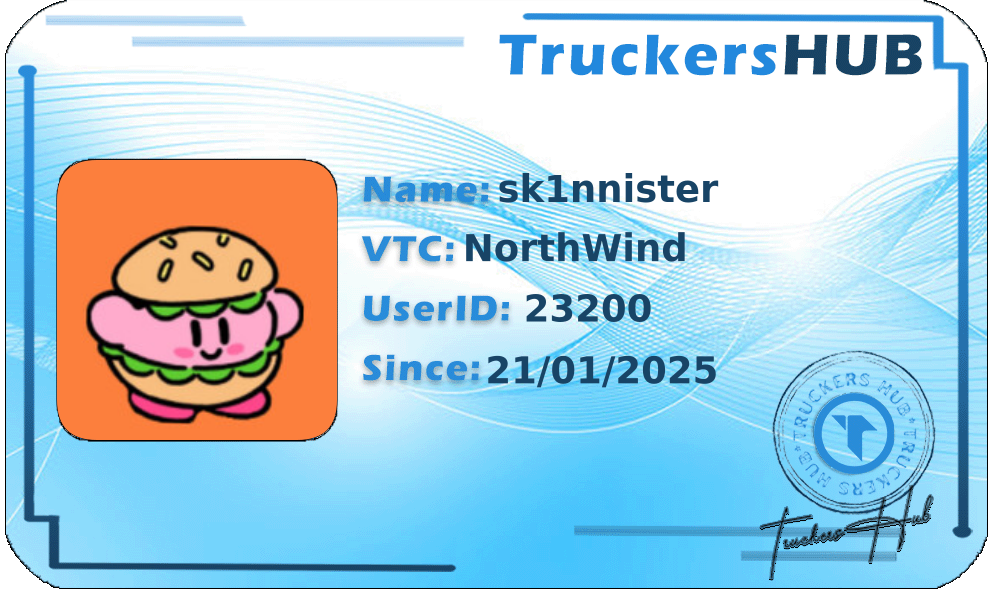 sk1nnister License