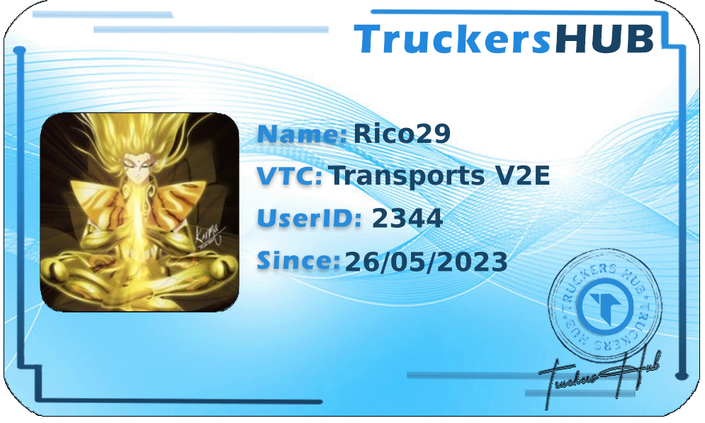 Rico29 License