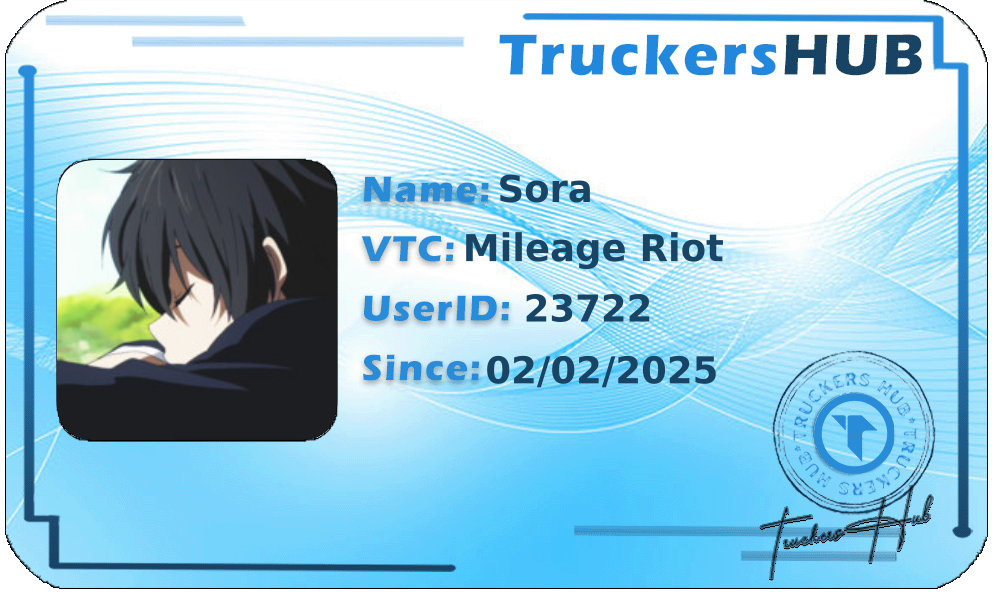 Sora License
