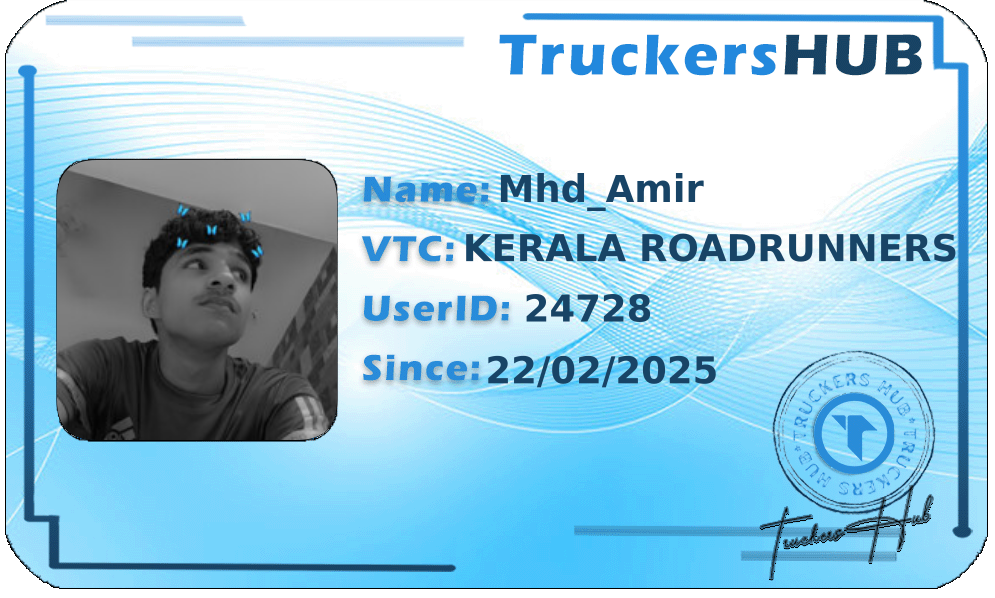 Mhd_Amir License