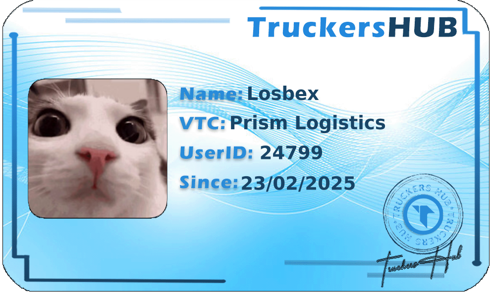 Losbex License