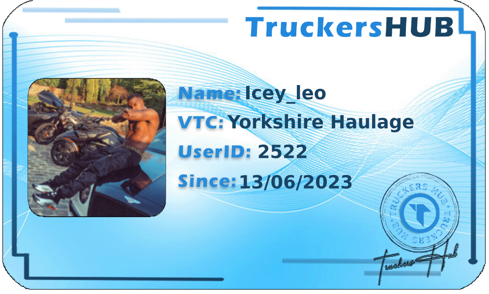 Icey_leo License