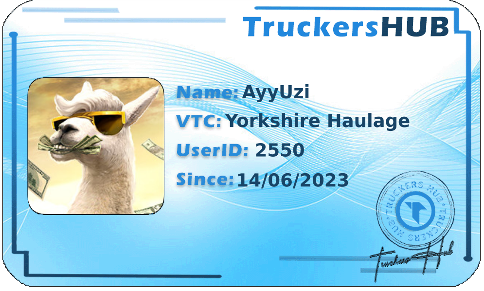 AyyUzi License