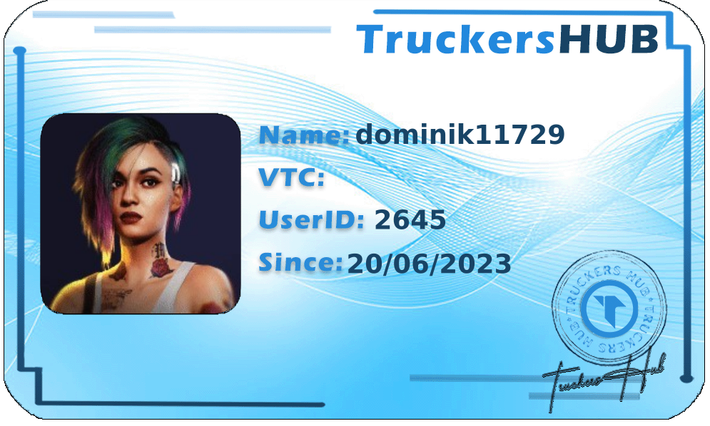 dominik11729 License